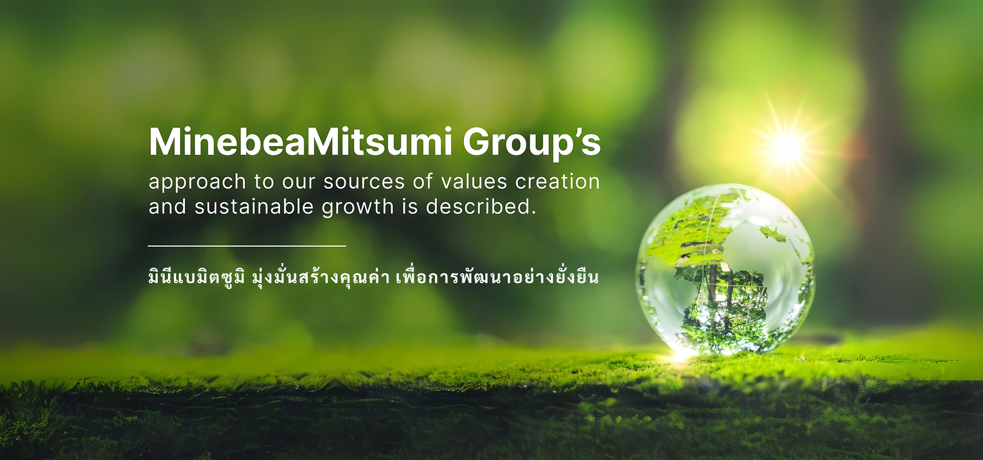 Sustainability Banner
